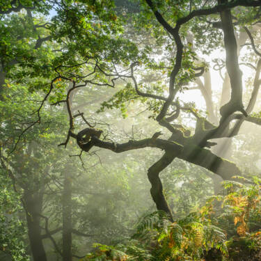 Nigel Danson images for Nikon magazine