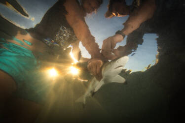 Tom Vierus' assets for Nikon magazine