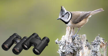 nikon-image