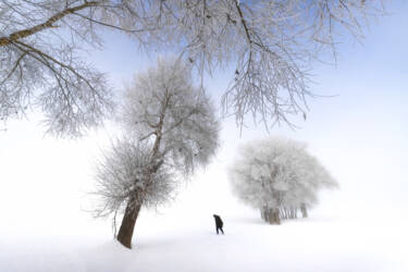 Nikon magazine - Nikon film and photo contest 2024-2025