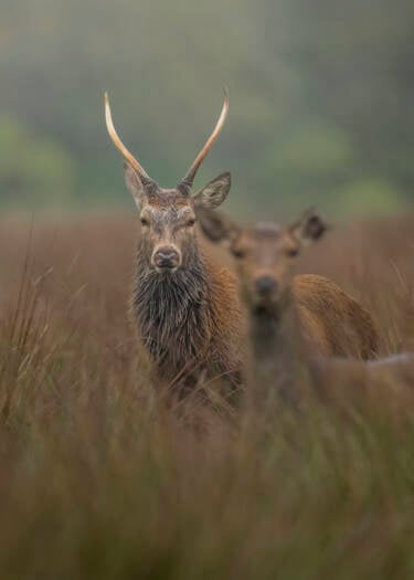 Nikon magazine - The Set Up