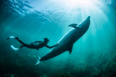 Nikon magazine - George Karbus underwater with the ZR